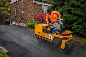 Best Driveway Drainage Solutions  in Alamo, TX